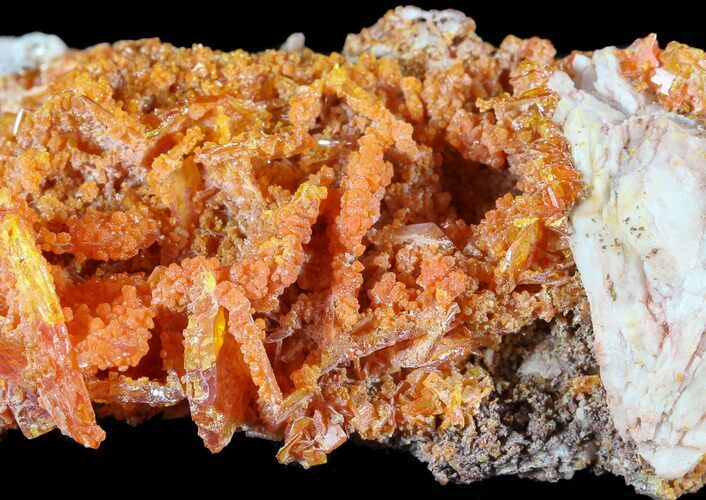 Bright Orange Wulfenite Crystals - Rowley Mine, AZ #49383